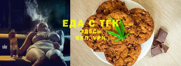 индика Ельня