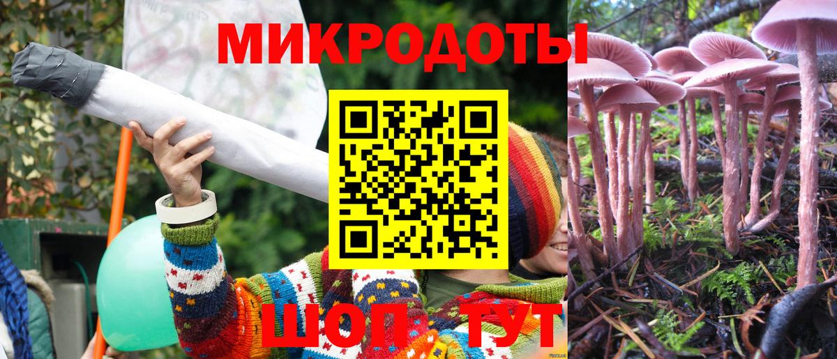 Галлюциногенные грибы Cubensis  Вход с VPN  Карабулак 