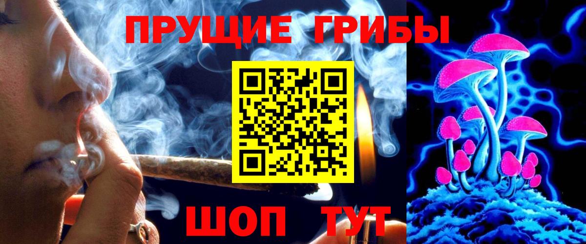 Галлюциногенные грибы Psilocybe Карабулак